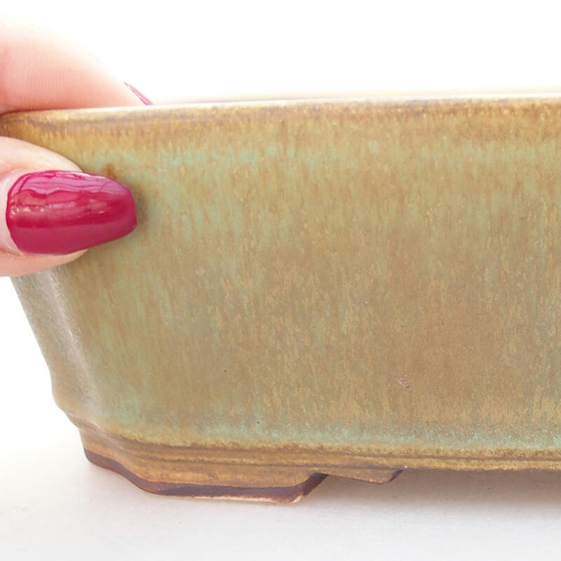 Ceramic bonsai bowl 21.5 x 18 x 6 cm, green