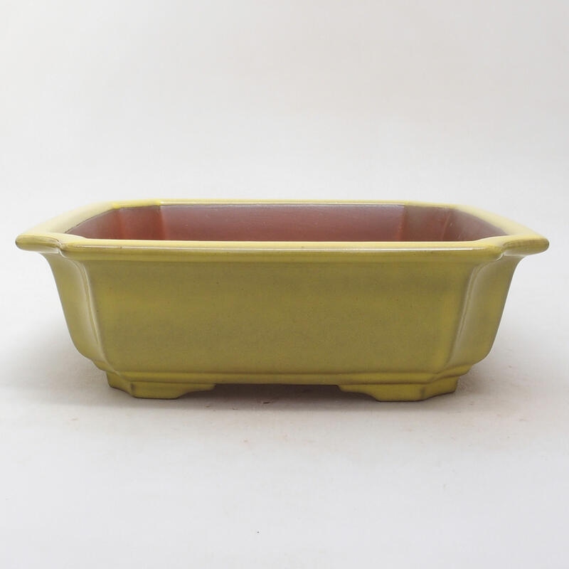 Ceramic bonsai bowl 21.5 x 21.5 x 6.5 cm, color yellow