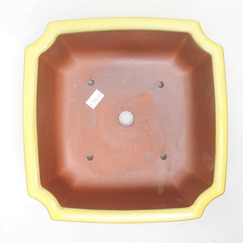 Ceramic bonsai bowl 21.5 x 21.5 x 6.5 cm, color yellow