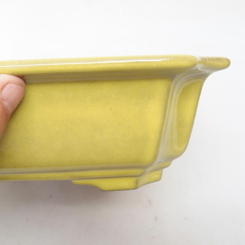 Ceramic bonsai bowl 21.5 x 21.5 x 6.5 cm, color yellow