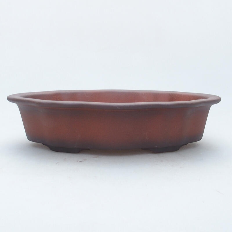 Ceramic bonsai bowl 22 x 17 x 6 cm, color brown