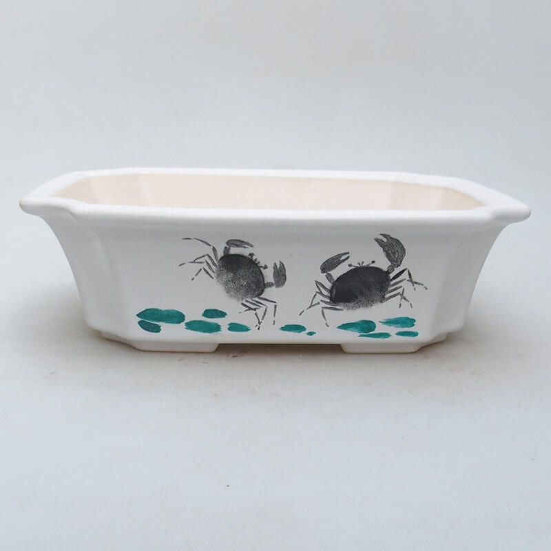 Ceramic bonsai bowl 22 x 18 x 7 cm, color white