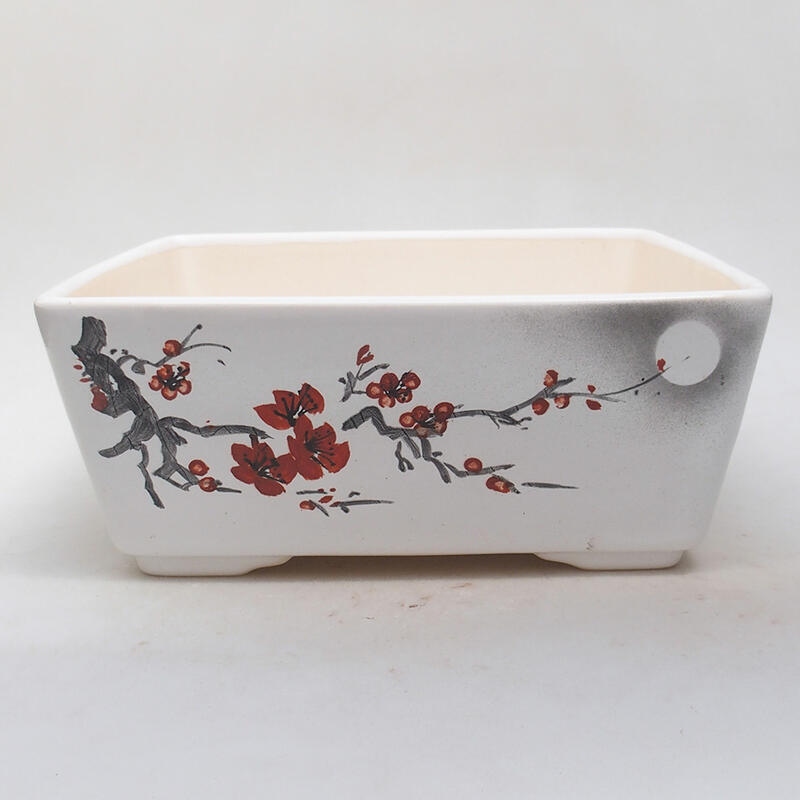 Ceramic bonsai bowl 22 x 22 x 9 cm, color white