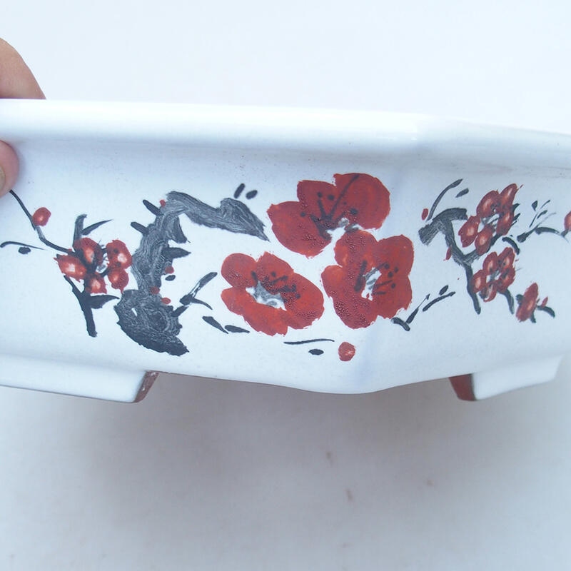 Ceramic bonsai bowl 23 x 21 x 6 cm, color white