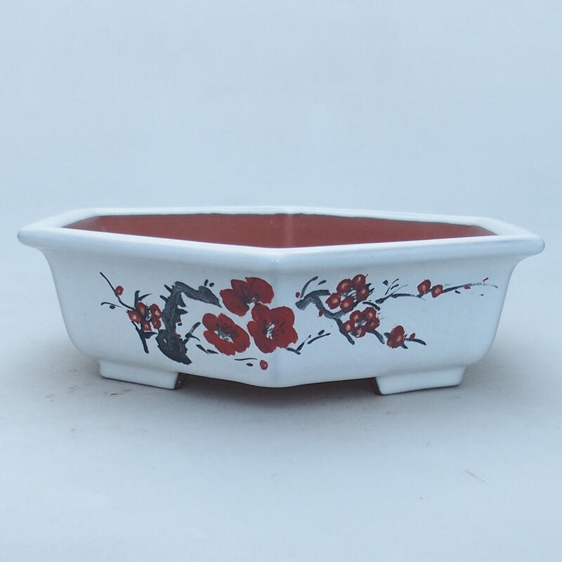 Ceramic bonsai bowl 23 x 21 x 6 cm, color white