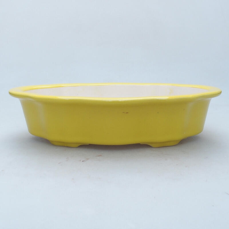 Ceramic bonsai bowl 26 x 17 x 6 cm, color yellow