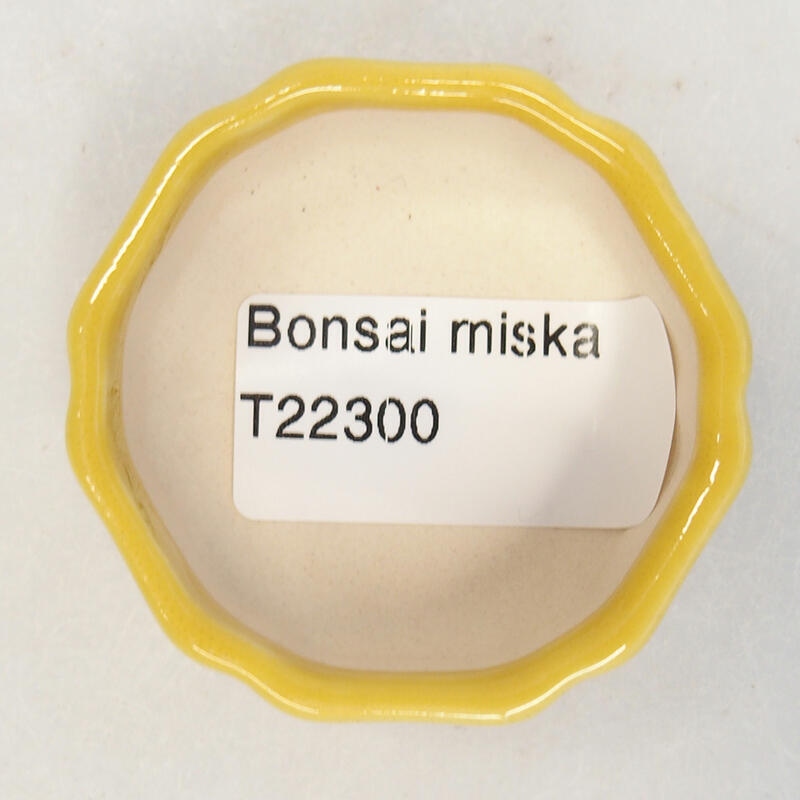 Ceramic bonsai bowl 5 x 5 x 2 cm, color yellow