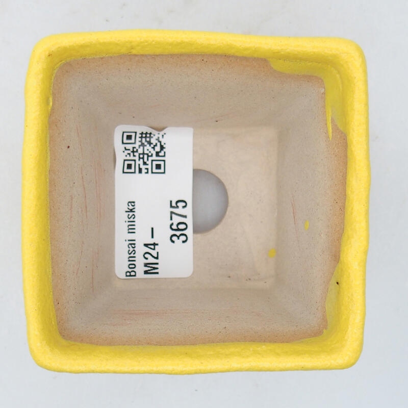 Ceramic bonsai bowl 6.5 x 6.5 x 5 cm, yellow