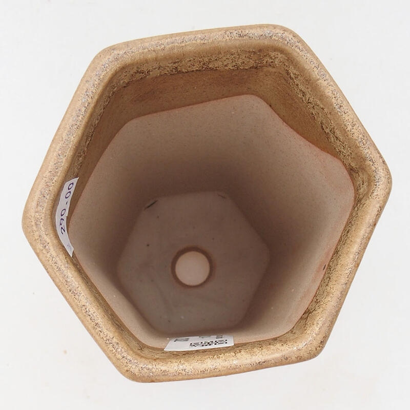 Ceramic bonsai bowl 9 x 8.5 x 14.5 cm, color beige