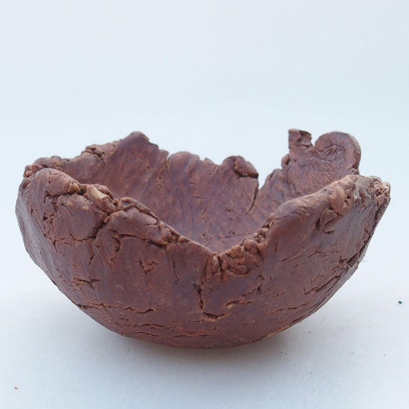 Ceramic Shell 10.5 x 10 x 5.5 cm , brown color