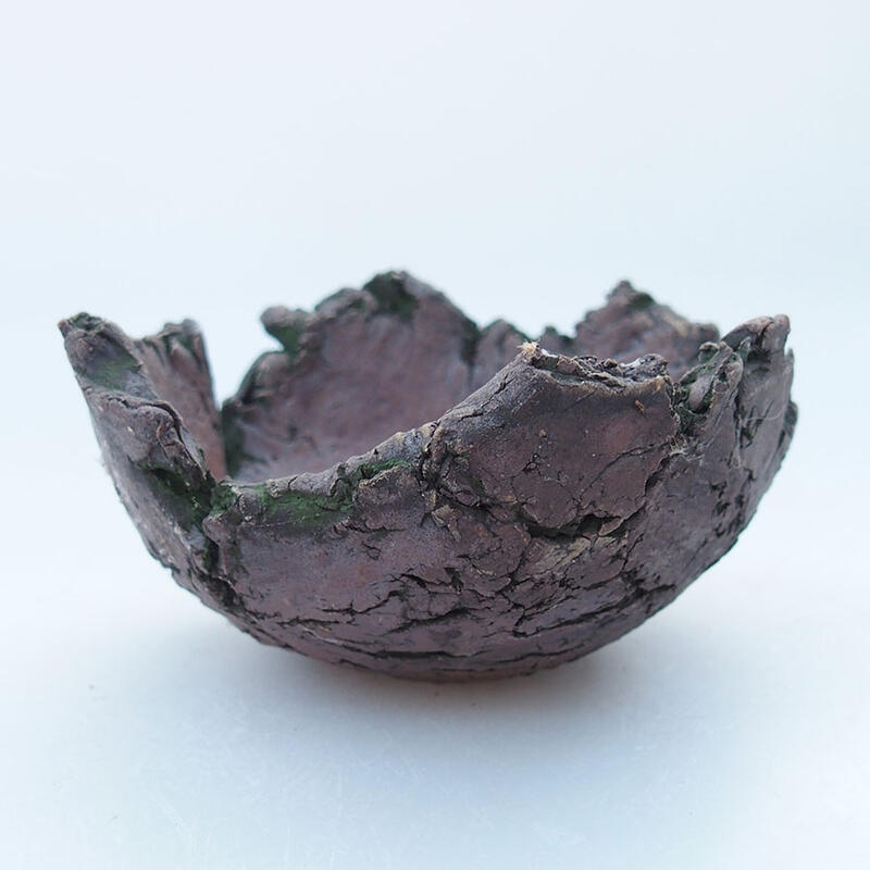 Ceramic Shell 10 x 9 x 5 cm , green color