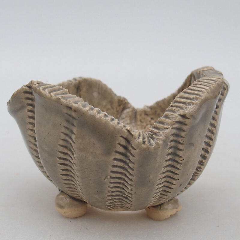 Ceramic shell 10 x 9 x 6.5 cm, gray color