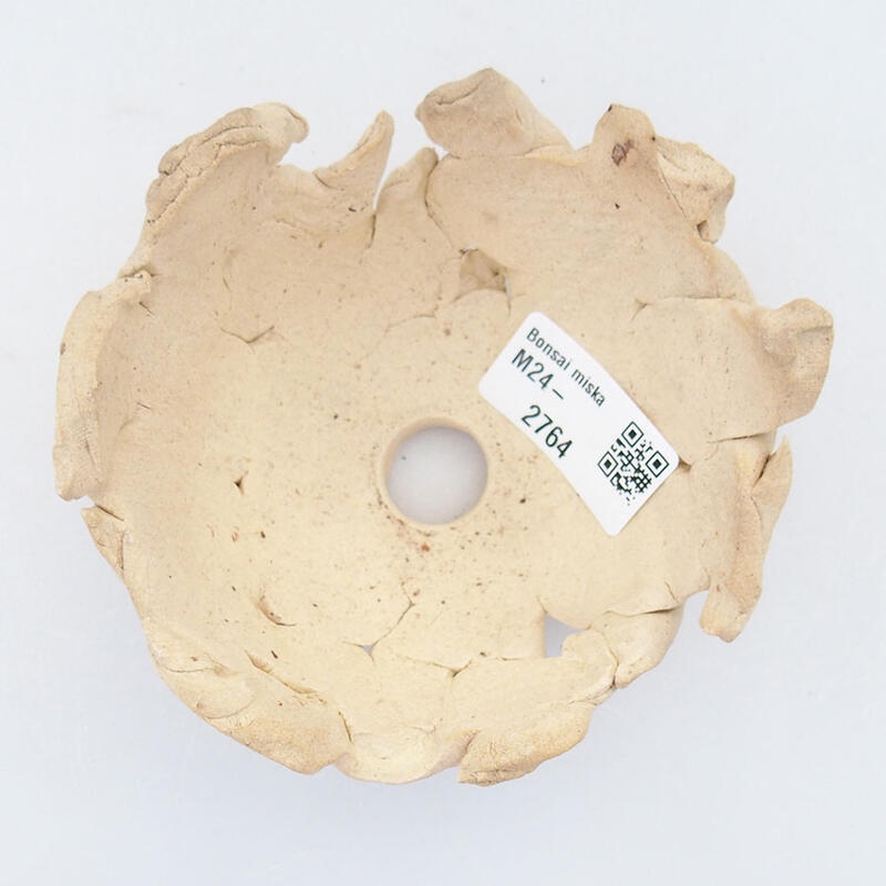 Ceramic Shell 11.5 x 10.5 x 6 cm , beige color