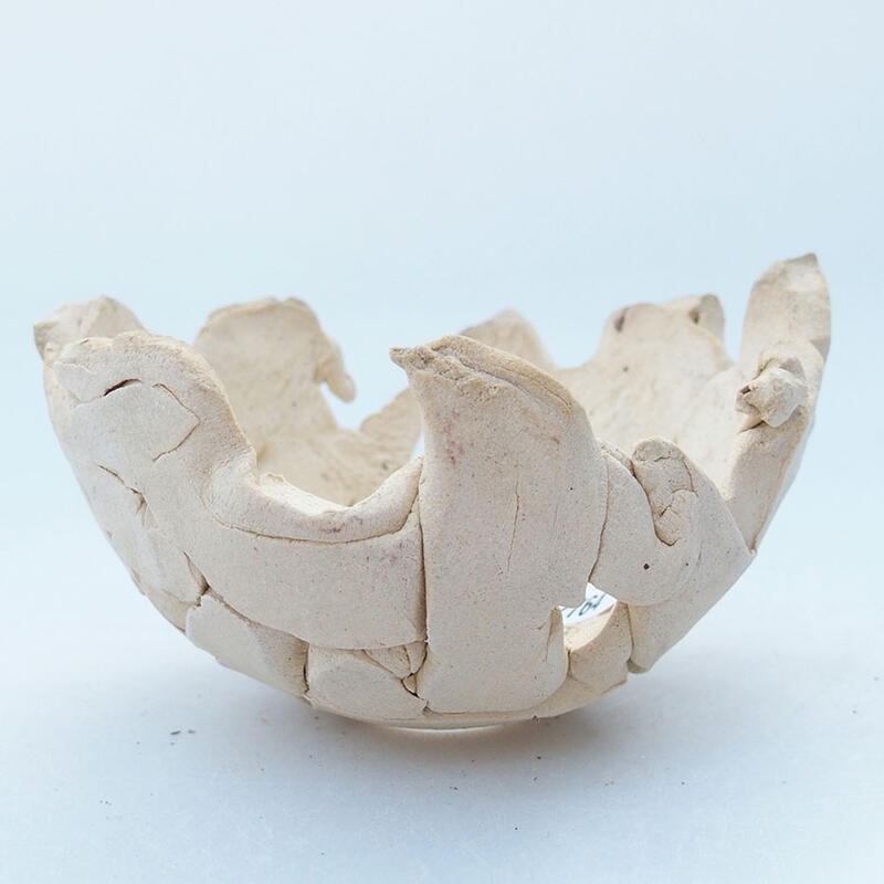 Ceramic Shell 11.5 x 10.5 x 6 cm , beige color