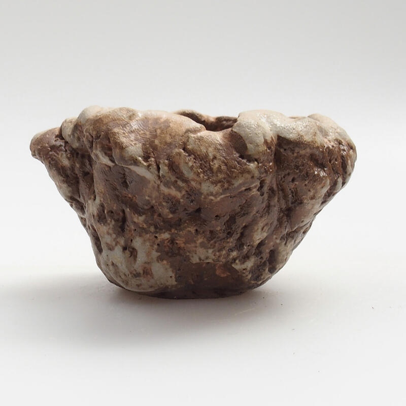 Ceramic shell 5 x 6 x 4 cm, green-brown color