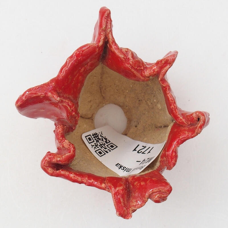 Ceramic shell 6.5 x 5.5 x 5.5 cm, color red