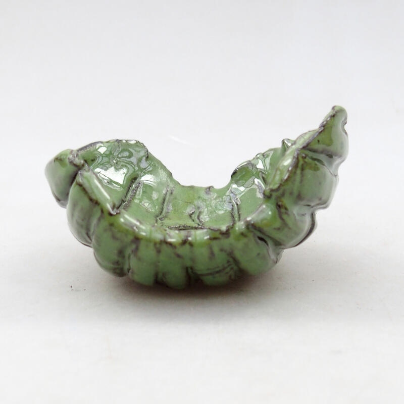 Ceramic Shell 6.5 x 6 x 4 cm, color green