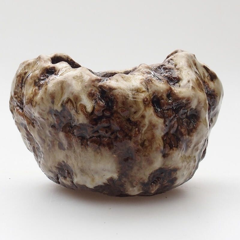 Ceramic shell 6 x 6 x 6 cm, color white-brown