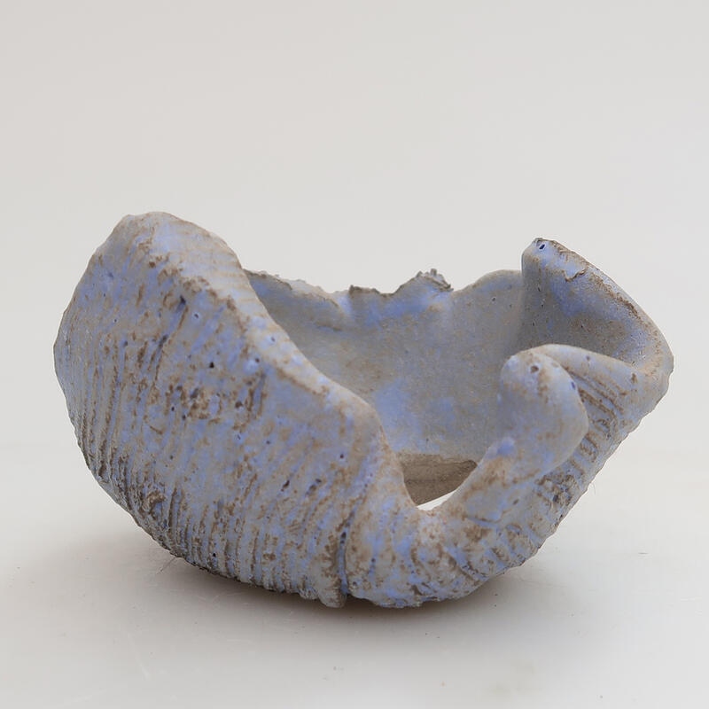 Ceramic Shell 7.5 x 7 x 4 cm, color blue