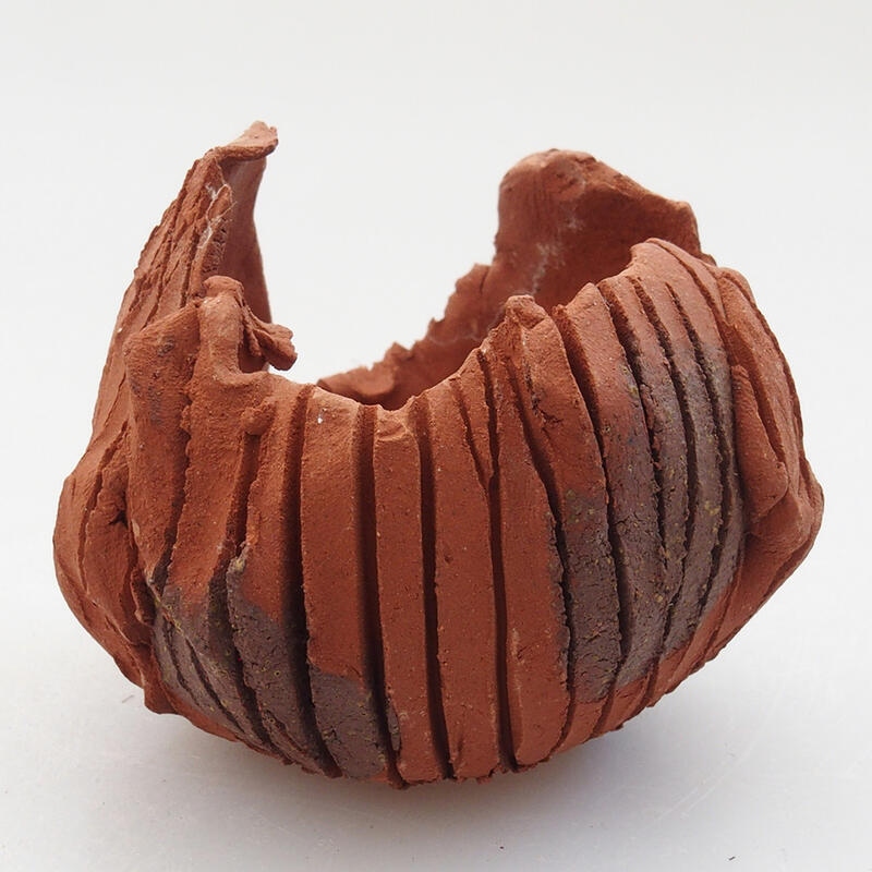 Ceramic shell 7 x 6 x 6 cm, color brown