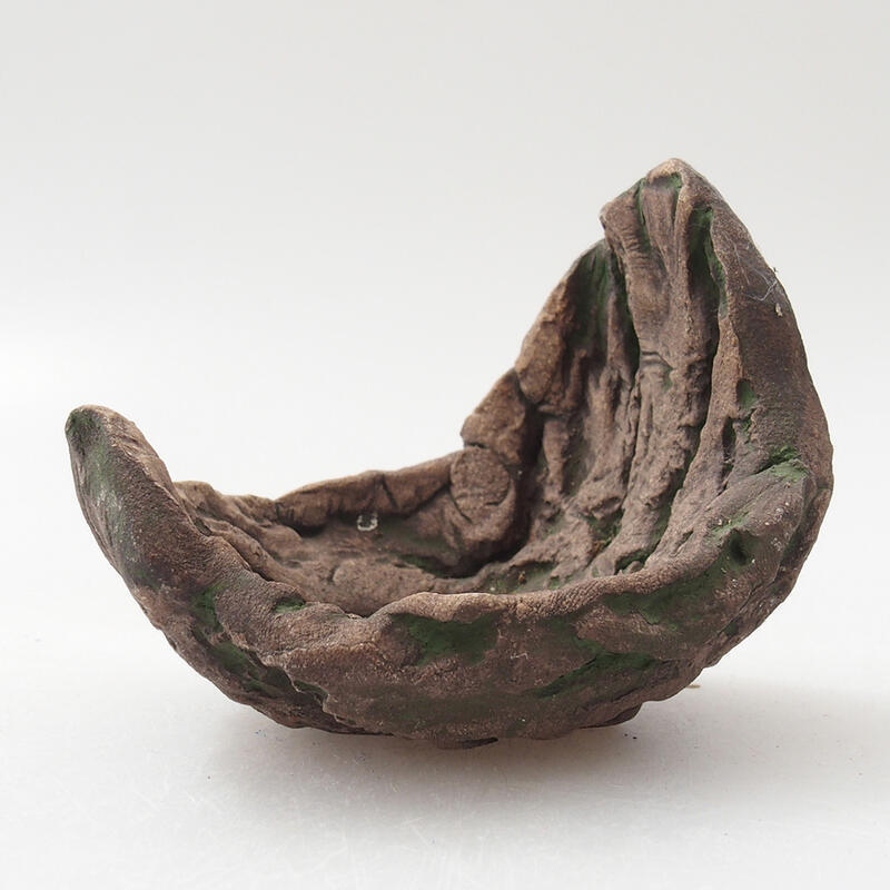 Ceramic shell 7 x 6 x 6 cm, color green