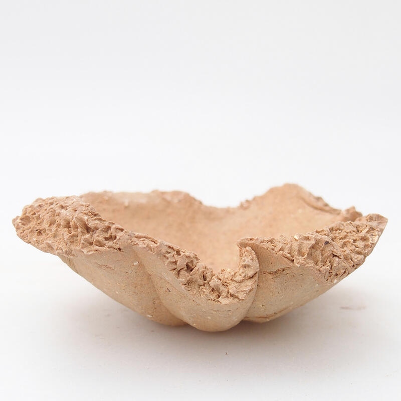 Ceramic Shell 8.5 x 8.5 x 3.5 cm, color beige