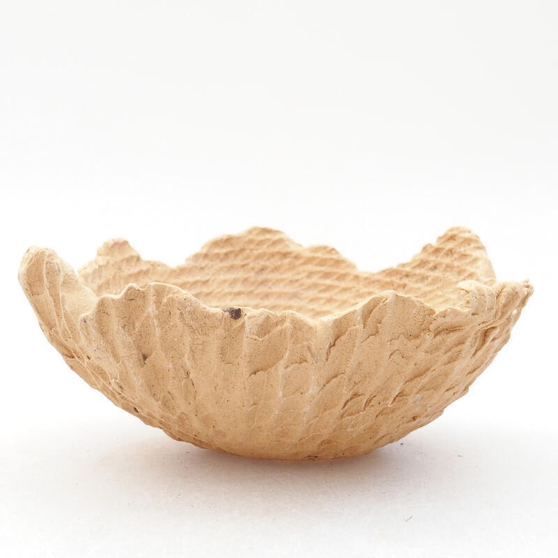 Ceramic Shell 8.5 x 8.5 x 4.5 cm, color beige