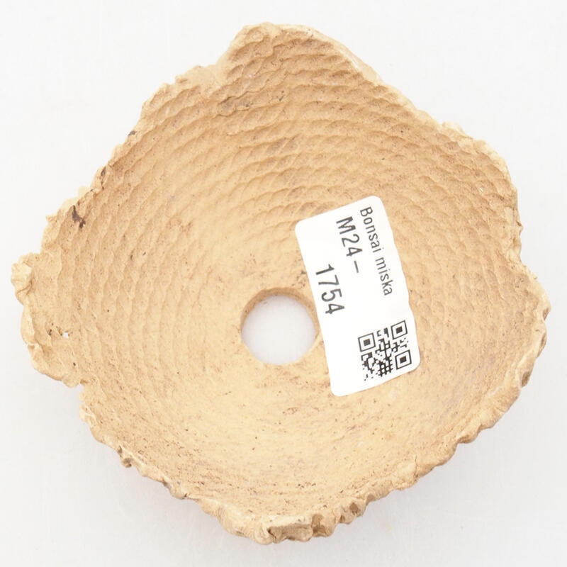 Ceramic Shell 8.5 x 8.5 x 4.5 cm, color beige