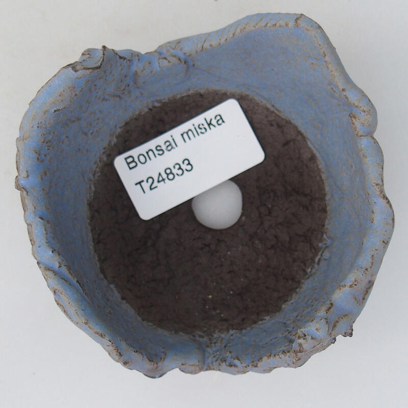 Ceramic Shell 8.5 x 8.5 x 4.5 cm, color blue