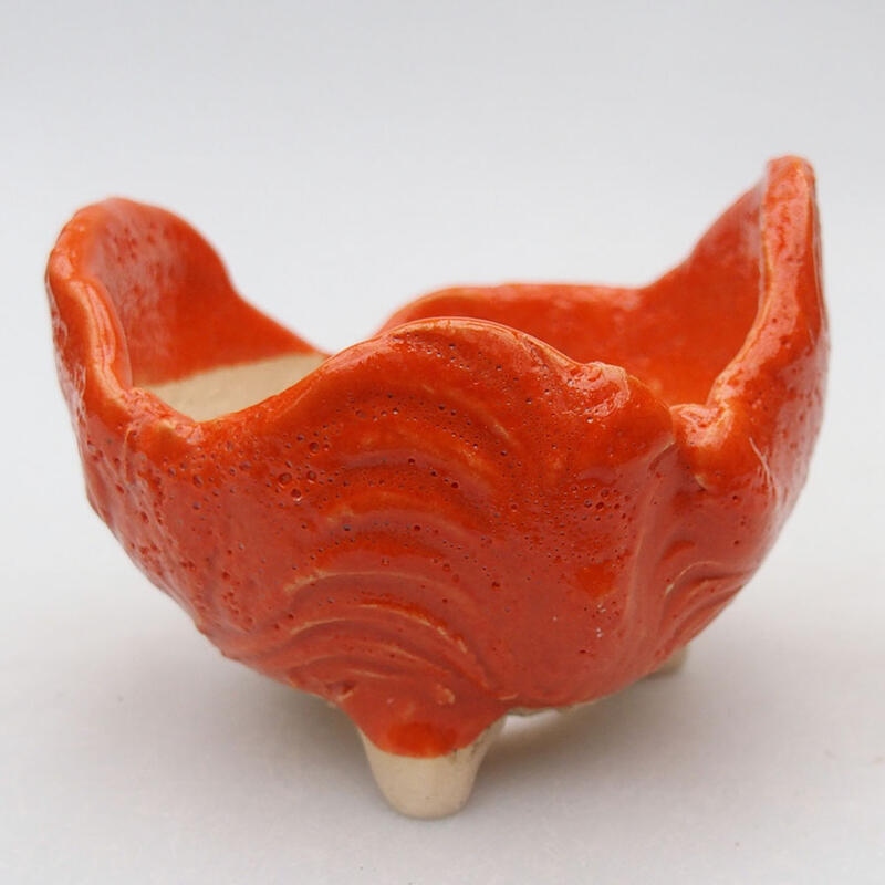 Ceramic Shell 8.5 x 8.5 x 6.5 cm, color orange