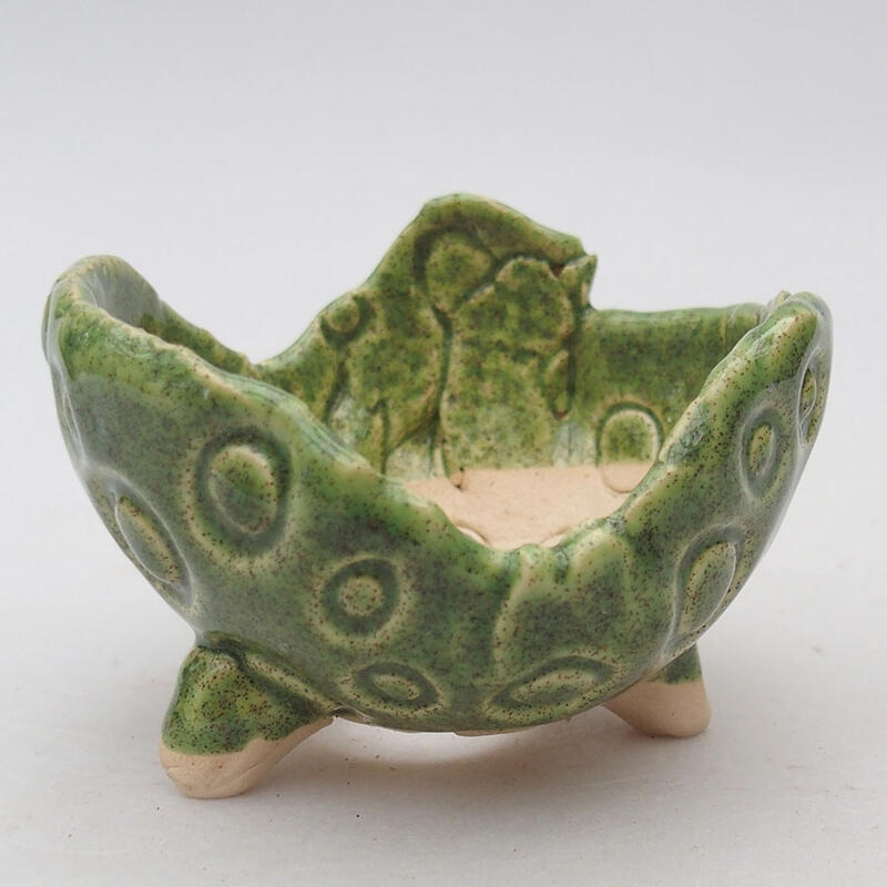 Ceramic Shell 8.5 x 8.5 x 6 cm, color green