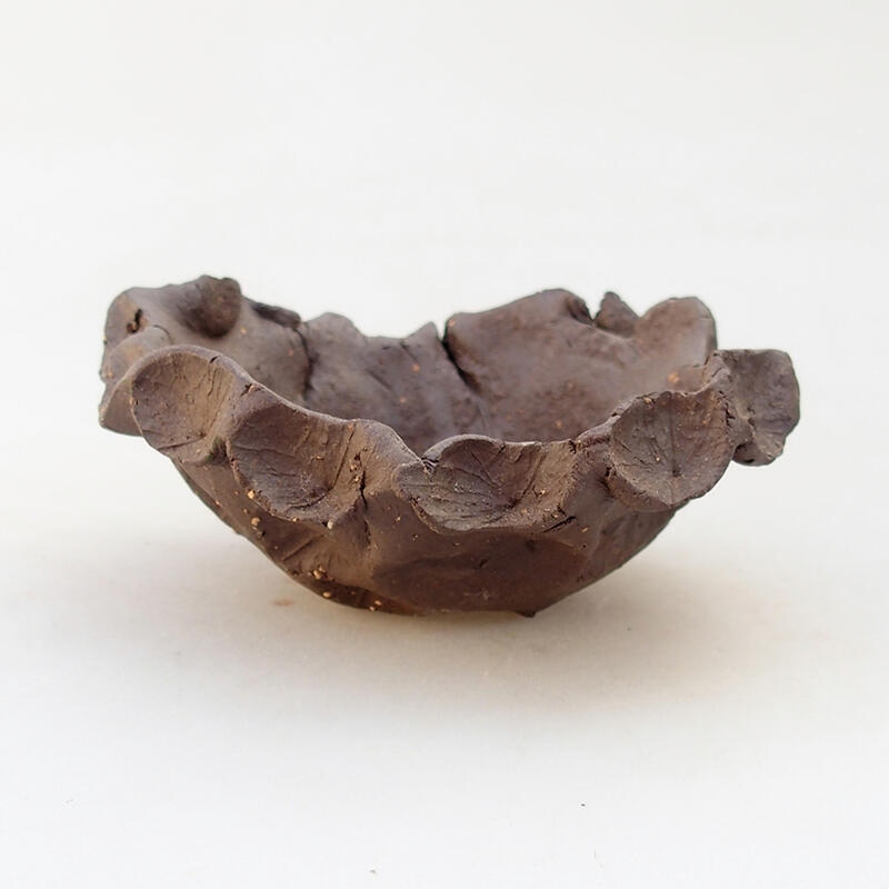 Ceramic Shell 8.5 x 8 x 4 cm, gray color