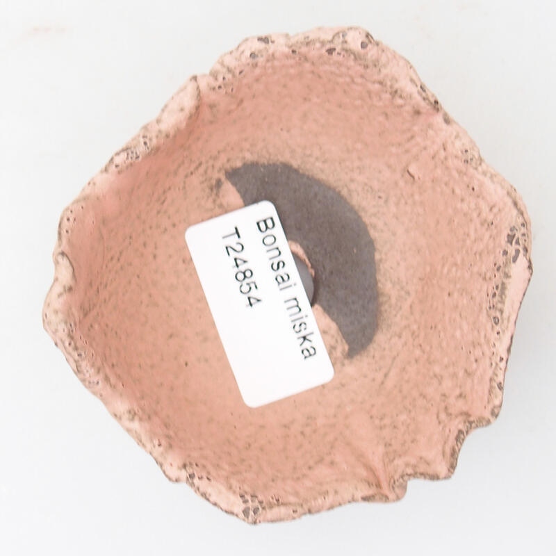 Ceramic shell 8.5 x 8 x 4 cm, color pink