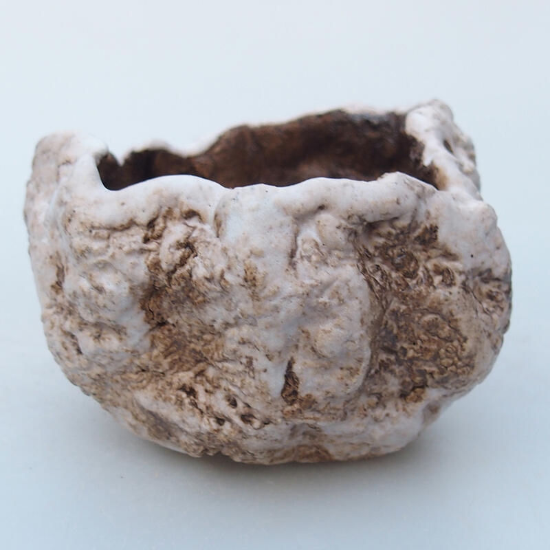 Ceramic shell 8 x 7,5 x 6 cm , colour beige