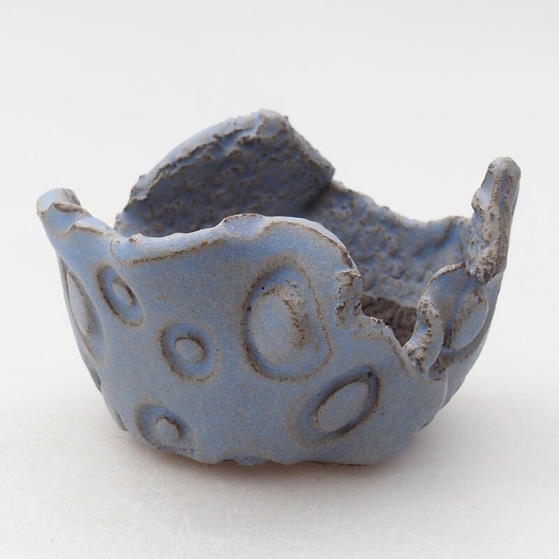 Ceramic shell 8 x 7 x 5 cm, color blue