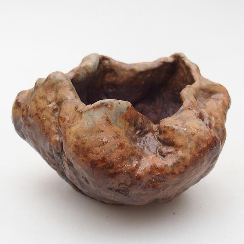 Ceramic shell 8 x 7 x 6 cm , colour brown