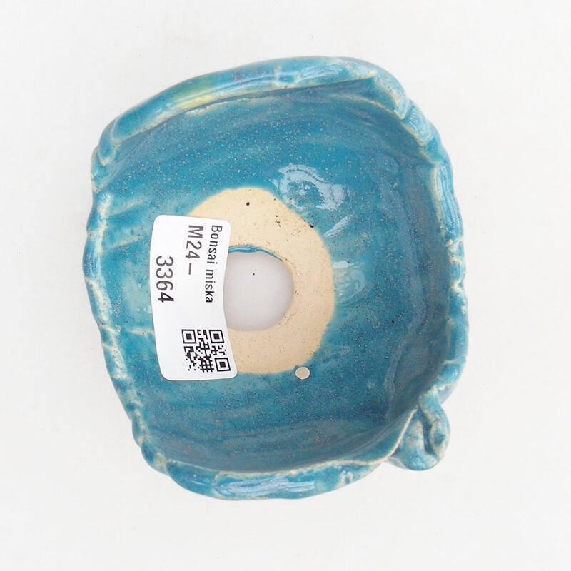 Ceramic Shell 8 x 8 x 6 cm, color blue