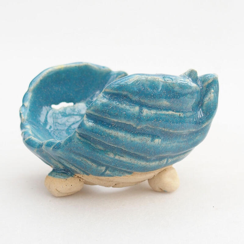 Ceramic Shell 8 x 8 x 6 cm, color blue