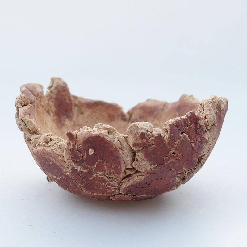 Ceramic Shell 9.5 x 9 x 5.5 cm , color brown