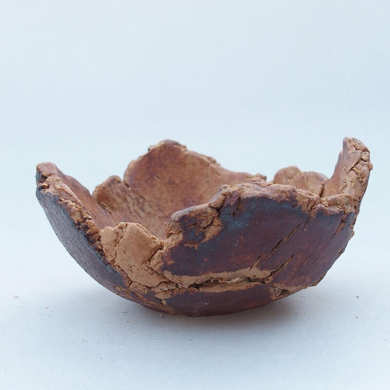 Ceramic Shell 9.5 x 9 x 5 cm , brown color brown