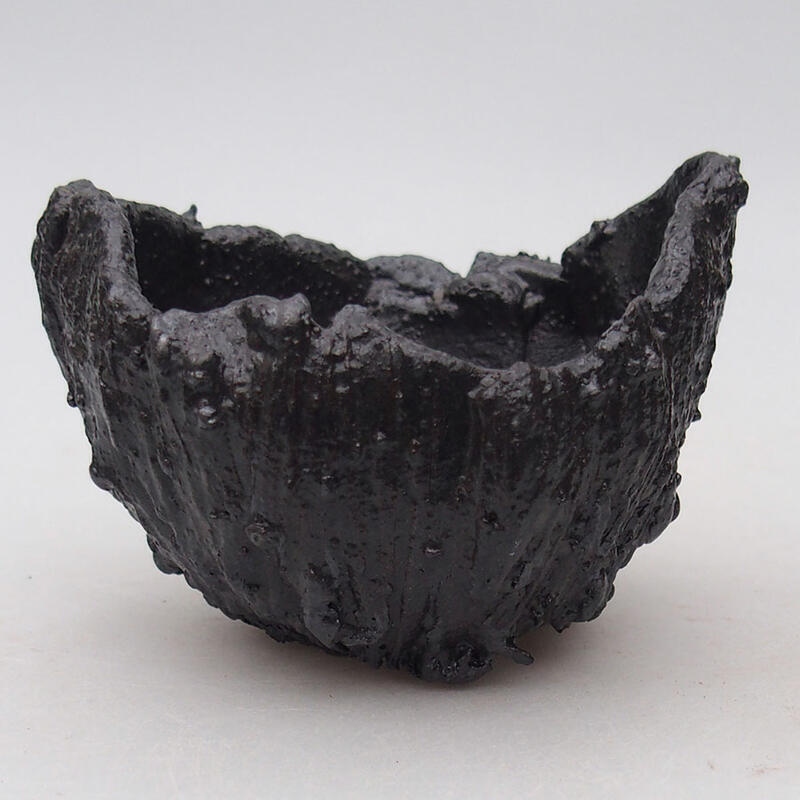 Ceramic shell 9.5 x 9 x 6.5 cm, color black