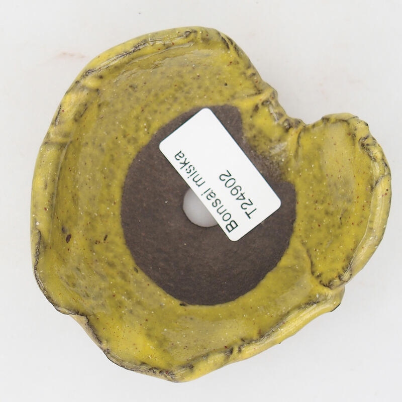 Ceramic shell 9 x 8.5 x 4.5 cm, color green-yellow