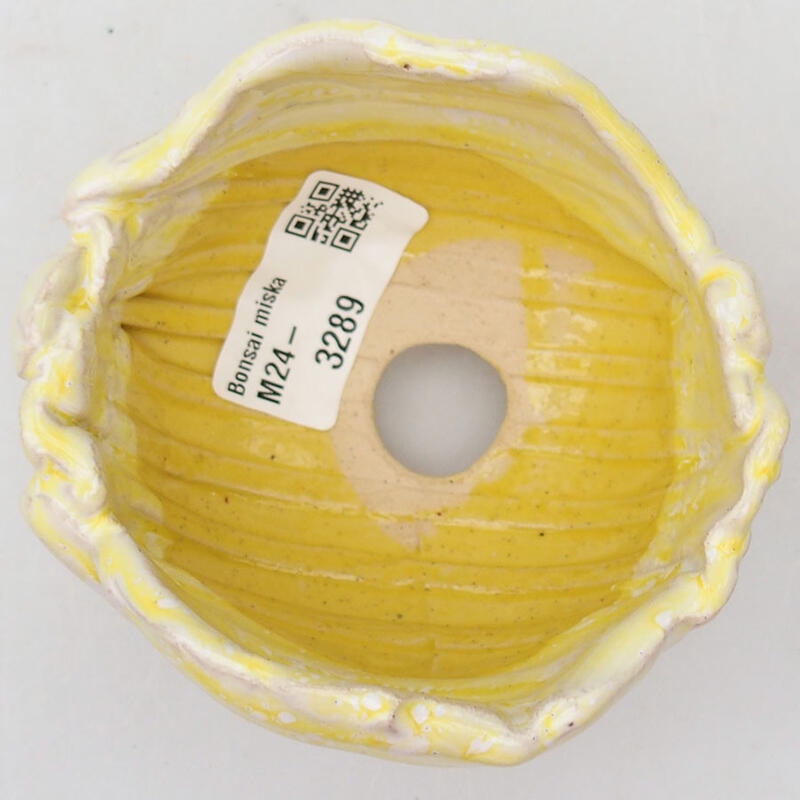 Ceramic Shell 9 x 8.5 x 6.5 cm, white-yellow color