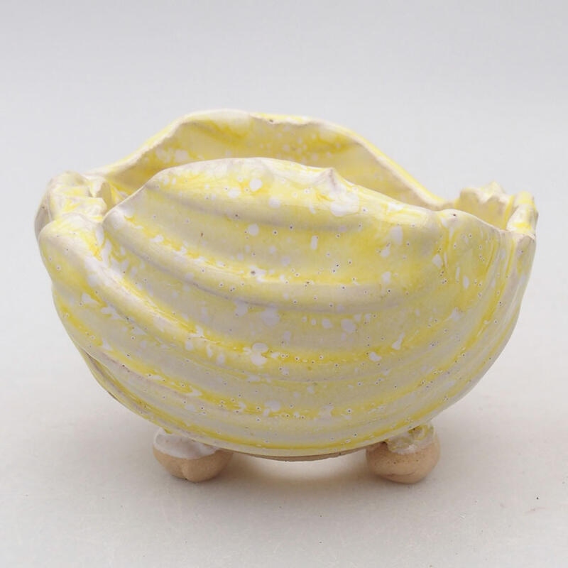 Ceramic Shell 9 x 8.5 x 6.5 cm, white-yellow color