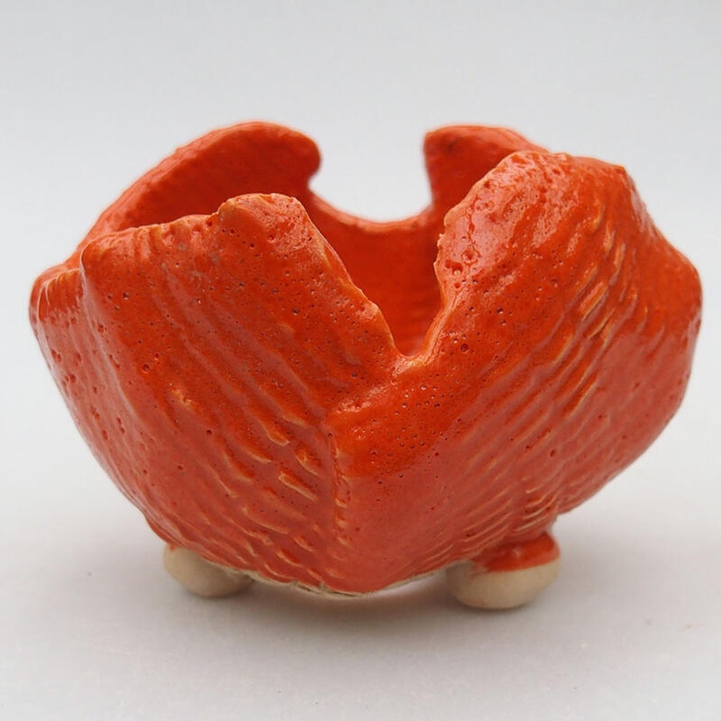 Ceramic Shell 9 x 8.5 x 6.5 cm, color orange