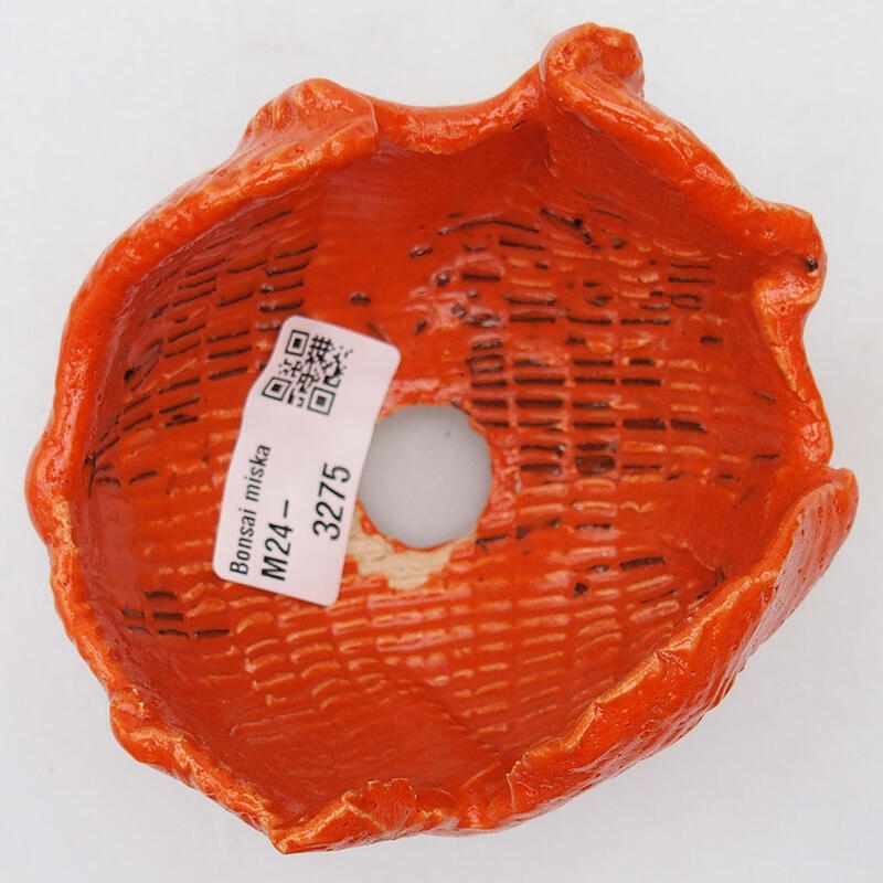 Ceramic Shell 9 x 8.5 x 6.5 cm, color orange