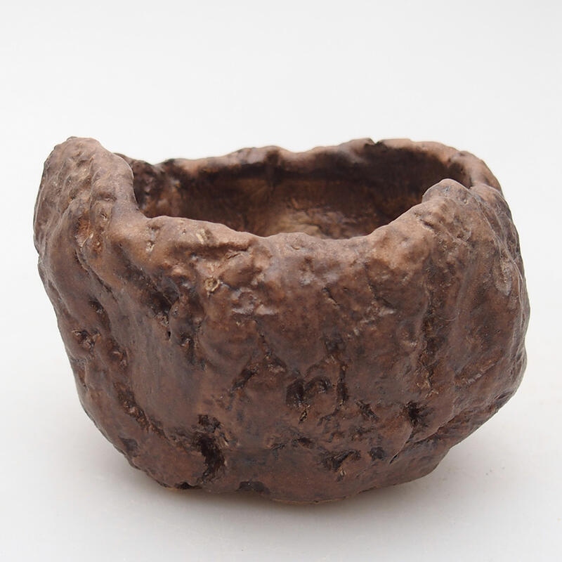 Ceramic shell 9 x 8,5 x 6 cm , colour brown