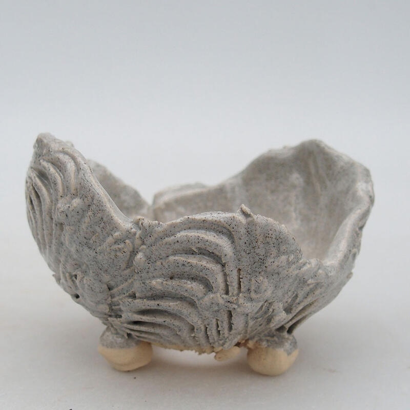 Ceramic Shell 9 x 8.5 x 6 cm, gray color