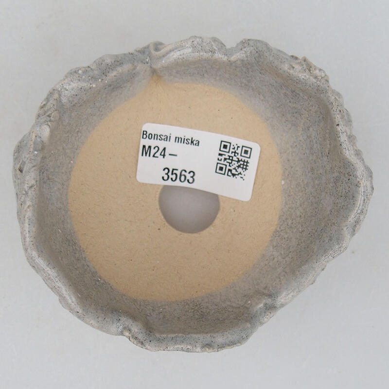 Ceramic Shell 9 x 8.5 x 6 cm, gray color