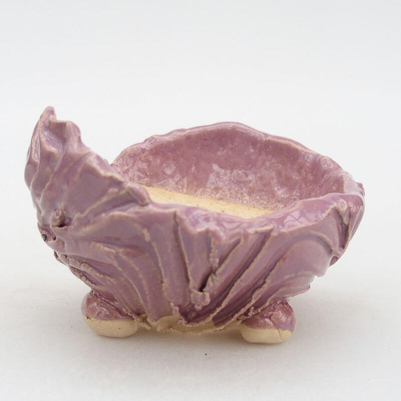 Ceramic Shell 9 x 8 x 5.5 cm, color purple